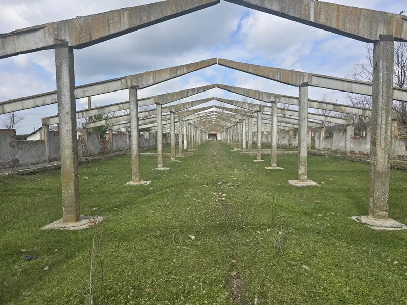 Izvoarele, jud. Giurgiu, ferma cu teren de 25 ha de vanzare.