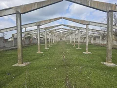 Izvoarele, jud. Giurgiu, ferma cu teren de 25 ha de vanzare