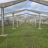 Izvoarele, jud. Giurgiu, ferma cu teren de 25 ha de vanzare